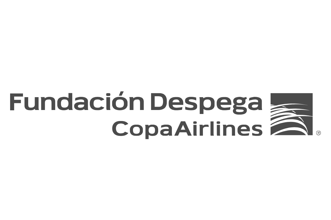 sponsor logo image